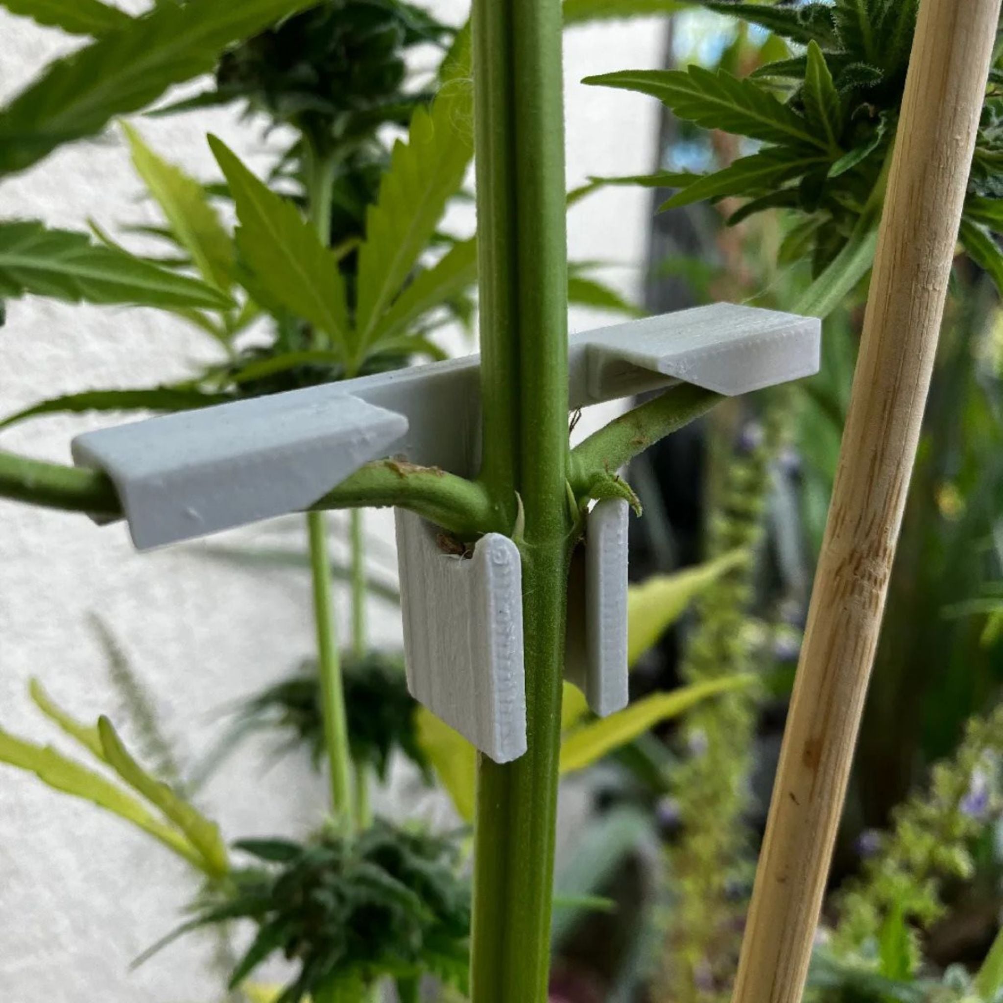 Bender T - Dobrador De Galhos e Plantas - Grow Light