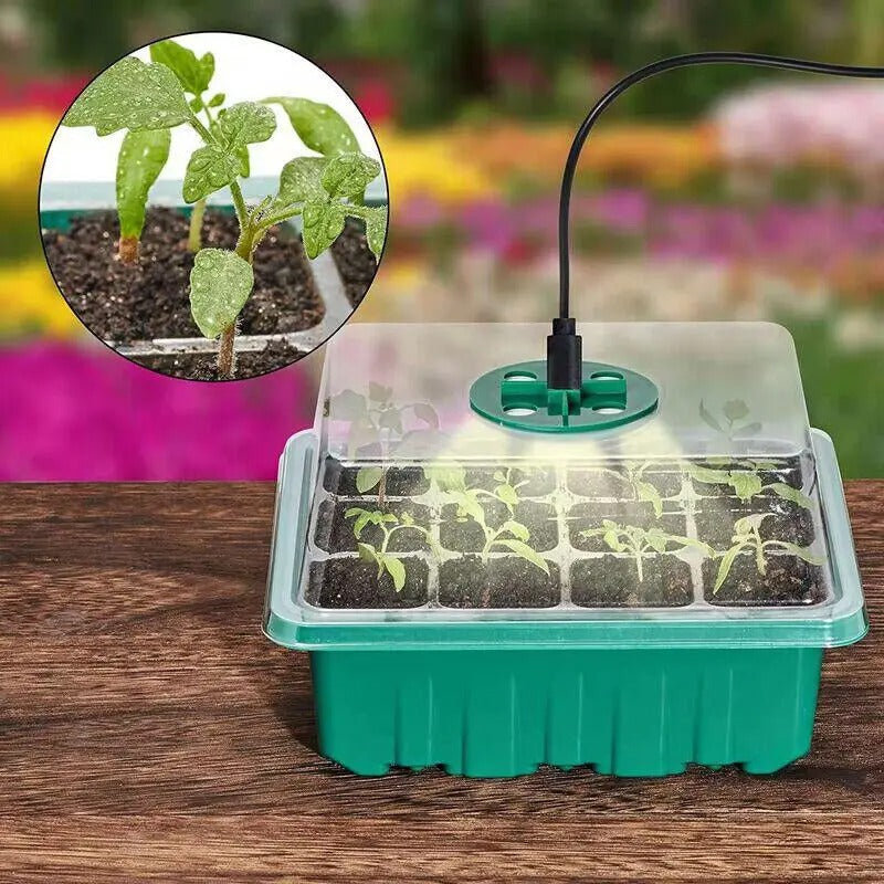 Mini estufa de germinação/clonagem com led
